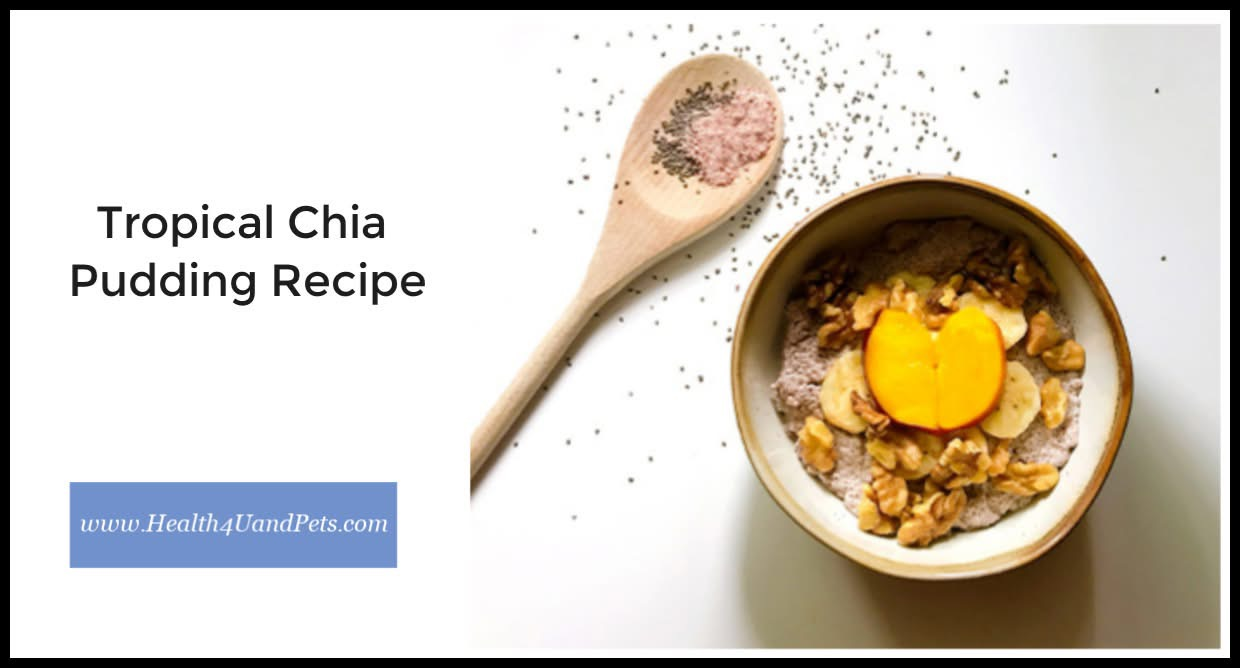 Tropical Chia Pudding Is A Guilt-Free Recipe To Satisfy Any Sweet Tooth!