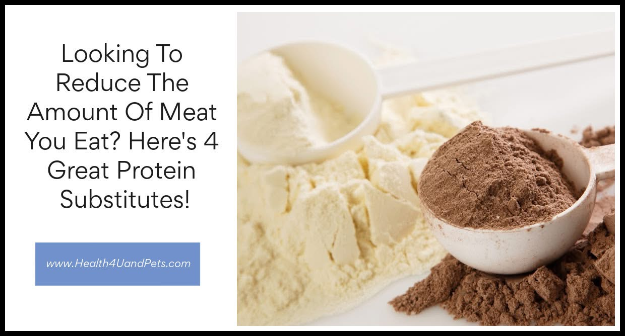 Looking To Reduce The Amount Of Meat You Eat? Here’s 4 Great Protein Substitutes!