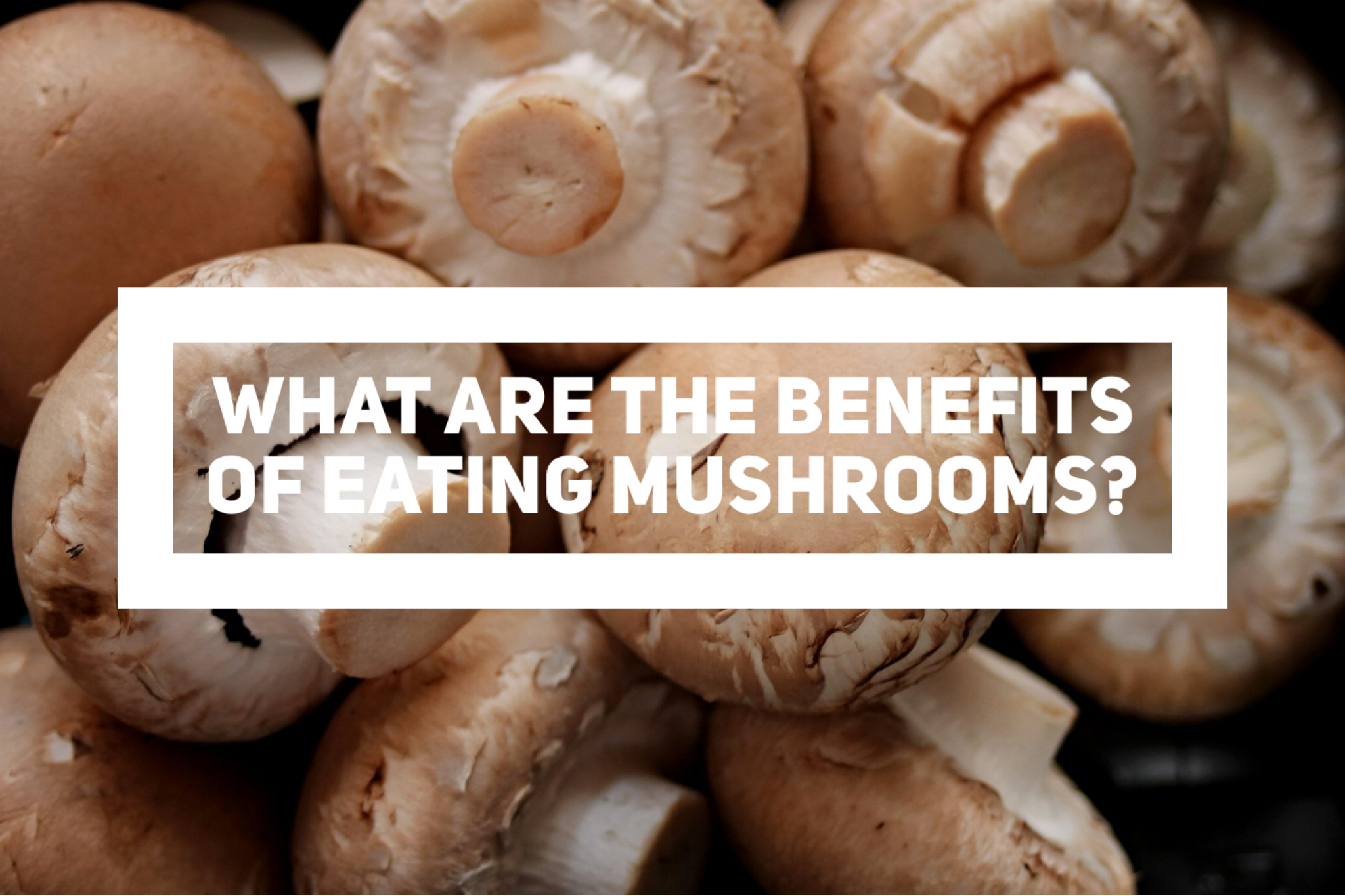 What Are The Benefits Of Eating Mushrooms?