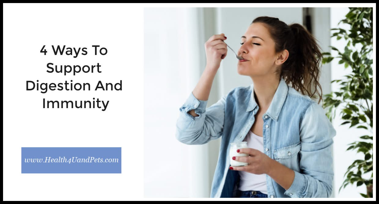 4 Ways To Support Digestion And Immunity