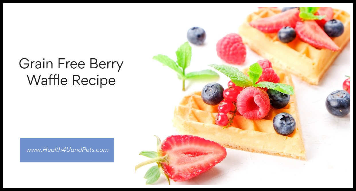 Grain Free Berry Waffle Recipe